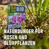 COMPO  Rosen Langzeit-Dünger mit Schafwolle 2 kg Produktbild-Vorschau 8