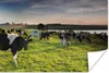 MuchoWow® Poster Kuh - Gras - Sonnenuntergang 30x20 cm - Produktbild-Vorschau 1
