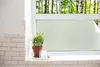 A potted plant sits on a windowsill in front of a frosted window with a view of trees outside. Podgląd zdjęcia produktu