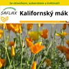 SAFLAX Kultivační sada - Kalifornský mák - Eschscholzia Náhled obrázku produktu 4