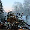 A close-up of a pine branch with LED string lights, set against a blurred winter landscape. Podgląd zdjęcia produktu