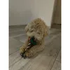 Jouets pour chiens Noël 6 pièces cadeau chiens à mâcher Voir les images du produit 3