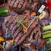 A digital thermometer inserted into a grilled steak on a barbecue. Produktbild-Vorschau