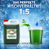 Rainbow Slush Sirup Waldmeister 5 Liter 1:5 AZO frei ohne Produktbild-Vorschau 4
