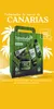 Tabaibaloe Geschenk Set Duschgel Face & Body Cream Produktbild-Vorschau 7