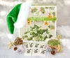 BIO Keimsprossen Adventskalender | Adventskalender von Produktbild-Vorschau 8