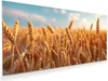 Glasbild 120x60cm in XXL für Wohnzimmer, Schlafzimmer Motiv Produktbild-Vorschau 1