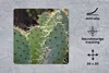 MuchoWow® Mauspad Mousepad Botanischer Kaktus Fotodruck Produktbild-Vorschau 2