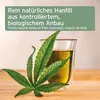 A hemp leaf in front of a glass of hemp oil, with text overlay describing the product. Produktbild-Vorschau