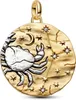 Pandora Cancer Zodiac Oversized Medallion 765001C01 Charm Produktbild-Vorschau 1