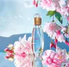 Woda Toaletowa Avon Woman Celebre 50 Ml Podgląd zdjęcia produktu 8