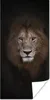 MuchoWow® Poster Löwe - Schatten - Wild 20x40 cm - Plakat - Produktbild-Vorschau 1