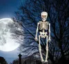 Squelette Halloween Décoration d'horreur environ 40 cm Voir les images du produit 6