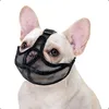 Französische Bulldogge Maulkorb, Won't Cover Stirn Hund Produktbild-Vorschau 1