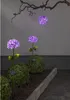 LED Solarstab 'Hortensie' - pink - 27 kaltweiße LED - H: 77cm, D: 16cm - Dämmerungssensor Produktbild-Vorschau