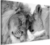 Italienischer Leinwand Leinwandbild - Lion's Love 90x60 cm Produktbild-Vorschau 1