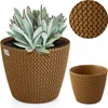 A succulent plant in a brown knitted-look pot, with a close-up of the pot's texture and a smaller pot shown separately. Podgląd zdjęcia produktu