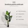 IvoQ Strelitzia Pianta artificiale 160 cm - Grande pianta Anteprima dell’immagine prodotto 2
