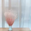 Federgras Getrocknete - (Stipa pennata) - Rosa Produktbild-Vorschau 6