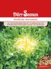 Dürr-Samen - Winter-Endivien Eminence - Saatgut - 1045 Produktbild-Vorschau 1