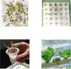 Hydroponiczny zestaw do sadzenia 2-poziomowa hydroponika Podgląd zdjęcia produktu 8