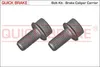 QUICK BRAKE Schraube, Bremssattel Hinten (11631K) für AUDI Produktbild-Vorschau 3