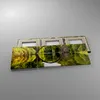 Bild auf Leinwand - Leinwandbild - Park Natur Wasser - Produktbild-Vorschau 2