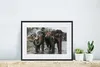 MuchoWow® MuchoWow® Gerahmtes Poster Elefant - Wasser - Produktbild-Vorschau 6