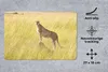 MuchoWow® Mauspad Mousepad Gepard in der Masai Mara 27x18 Produktbild-Vorschau 2