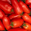 Pomodori pelati di San Marzano - San Marzano Tomaten ganz & Produktbild-Vorschau 4