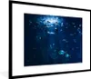 MuchoWow® Gerahmtes Poster Angeln in einem Aquarium in Produktbild-Vorschau 1