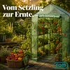 TOM Folien Gewächshaus | 2,4 m² | 140g/m² | Produktbild-Vorschau 8