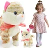 Lolex | Gattino interattivo al guinzaglio - 23 cm - Anteprima dell’immagine prodotto 1