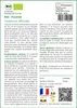 SAFLAX  -- Pissenlit - 400 graines - Avec substrat - Voir les images du produit 3