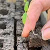 Mini blokada do gleby, ręczne narzędzie z wygodnym Podgląd zdjęcia produktu 7