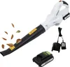 A cordless leaf blower with its battery and charger, set against a white background. Produktbild-Vorschau