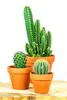 SPANG Blumentopf (Verkaufseinheit: 8) Ton Ø18 cm konisch Produktbild-Vorschau 7