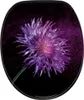 SANILO® WC sedátko s mechanismem Soft-Close Purple Dust, WC Náhled obrázku produktu 2