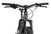 Axess PRIDE Hardtail Mountainbike mit Grip-Reifen 29 Zoll Produktbild-Vorschau 4