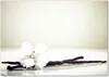Tulup® Glas-Bild - 100 x 70 - Wandbild aus Glas - Wandkunst Produktbild-Vorschau 1