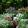 Microirrigatore a goccia a 360 gradi GARDENA - 5 pezzi Anteprima dell’immagine prodotto 3