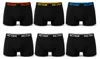Boxershorts Herren 6er Pack Baumwolle Stretch – ohne Produktbild-Vorschau 1