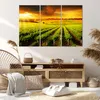 Bild auf Leinwand - Leinwandbild - Land Weingut Pflanzung - Produktbild-Vorschau 7