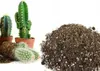 Kaktus- und Sukkulentenerde - 5l - mit Quarzsand - Produktbild-Vorschau 5