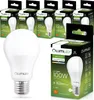 A product shot of multiple packages of LED light bulbs, with one bulb prominently displayed in the foreground. Podgląd zdjęcia produktu