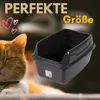 A black cat litter box is shown next to a ginger cat, with text overlay indicating 'PERFEKTE Größe' (Perfect Size). Produktbild-Vorschau