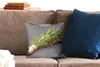 MuchoWow® Zierkissen Sofakissen Wohnzimmer Dekokissen 40x40 Produktbild-Vorschau 2