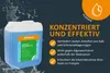 Steinbach Pool-Winterpflegemittel 5 L, 12% Produktbild-Vorschau 5