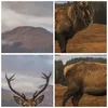 Bild auf Leinwand - Leinwandbild - Einteilig - Rehe Wiese Produktbild-Vorschau 8