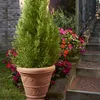 Garden Italia Pots Blumentopf Bell rund mit ICFB-Girlanden Produktbild-Vorschau 2